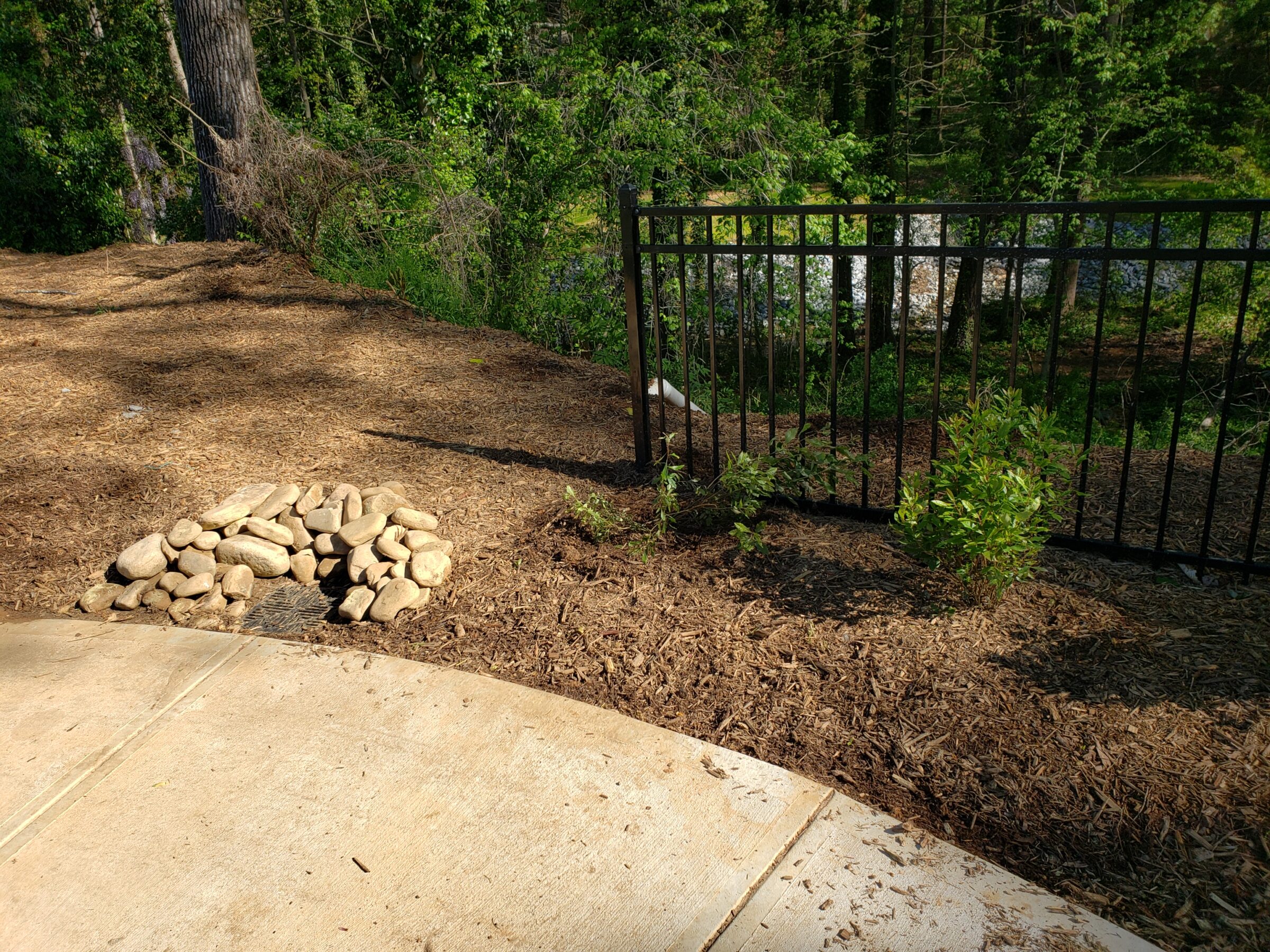 A pathway with stone-covered drain, bordered by mulch and young plants, leads to a black metal fence surrounded by lush greenery.