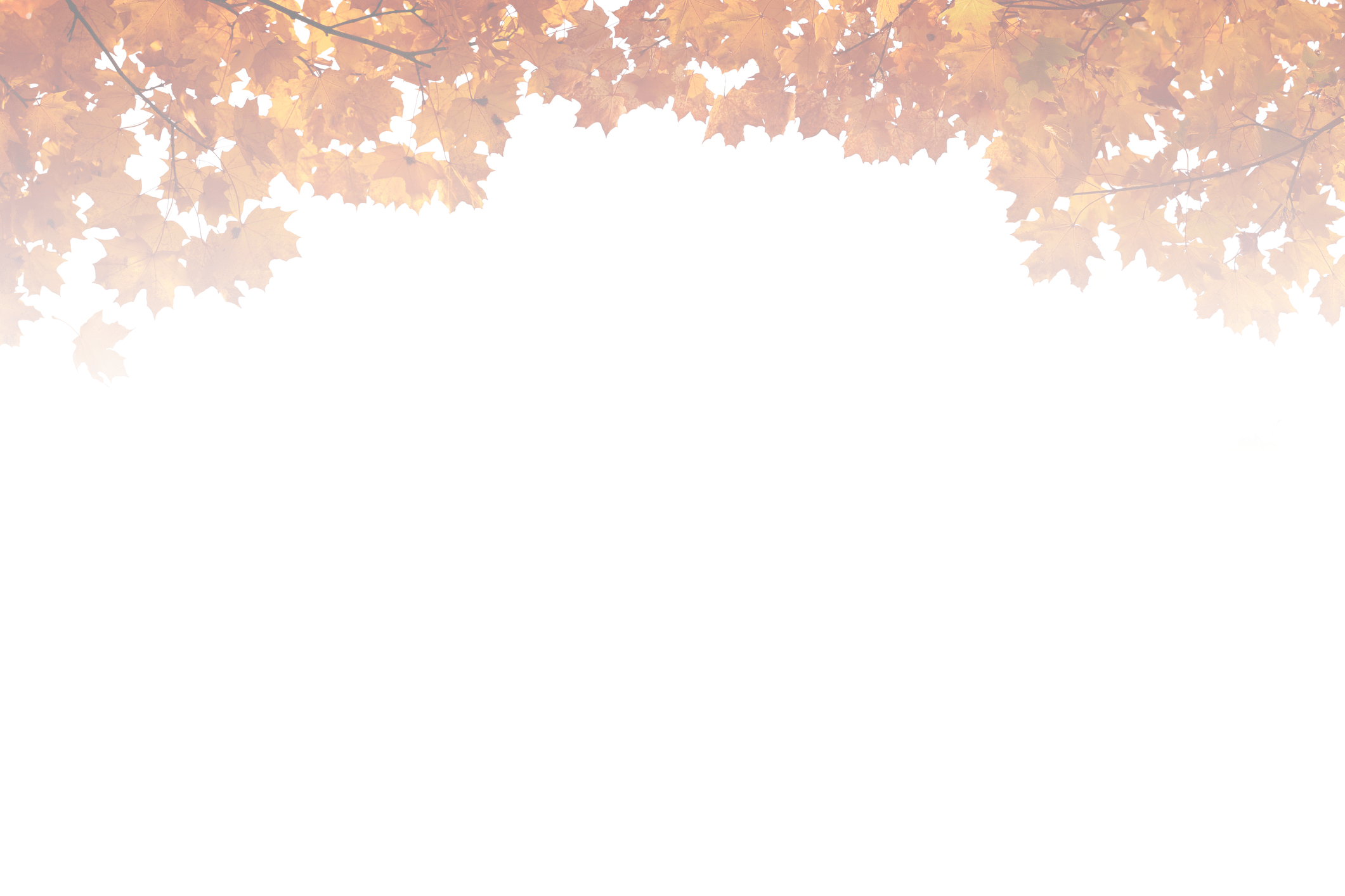 A person sits at a picnic table on green grass under autumn trees with orange leaves. It's a peaceful outdoor scene.