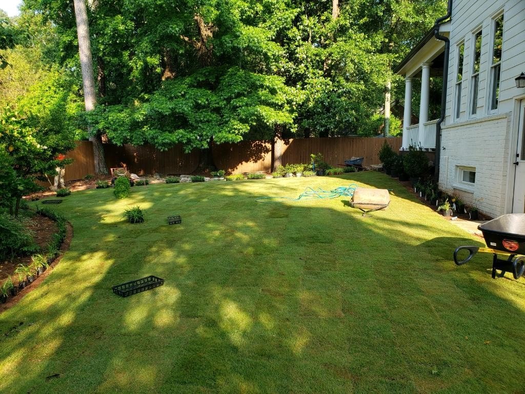A backyard with new sod, a stone pathway, wheelbarrow, and garden tools, adjacent to a white brick house and wooden fence.