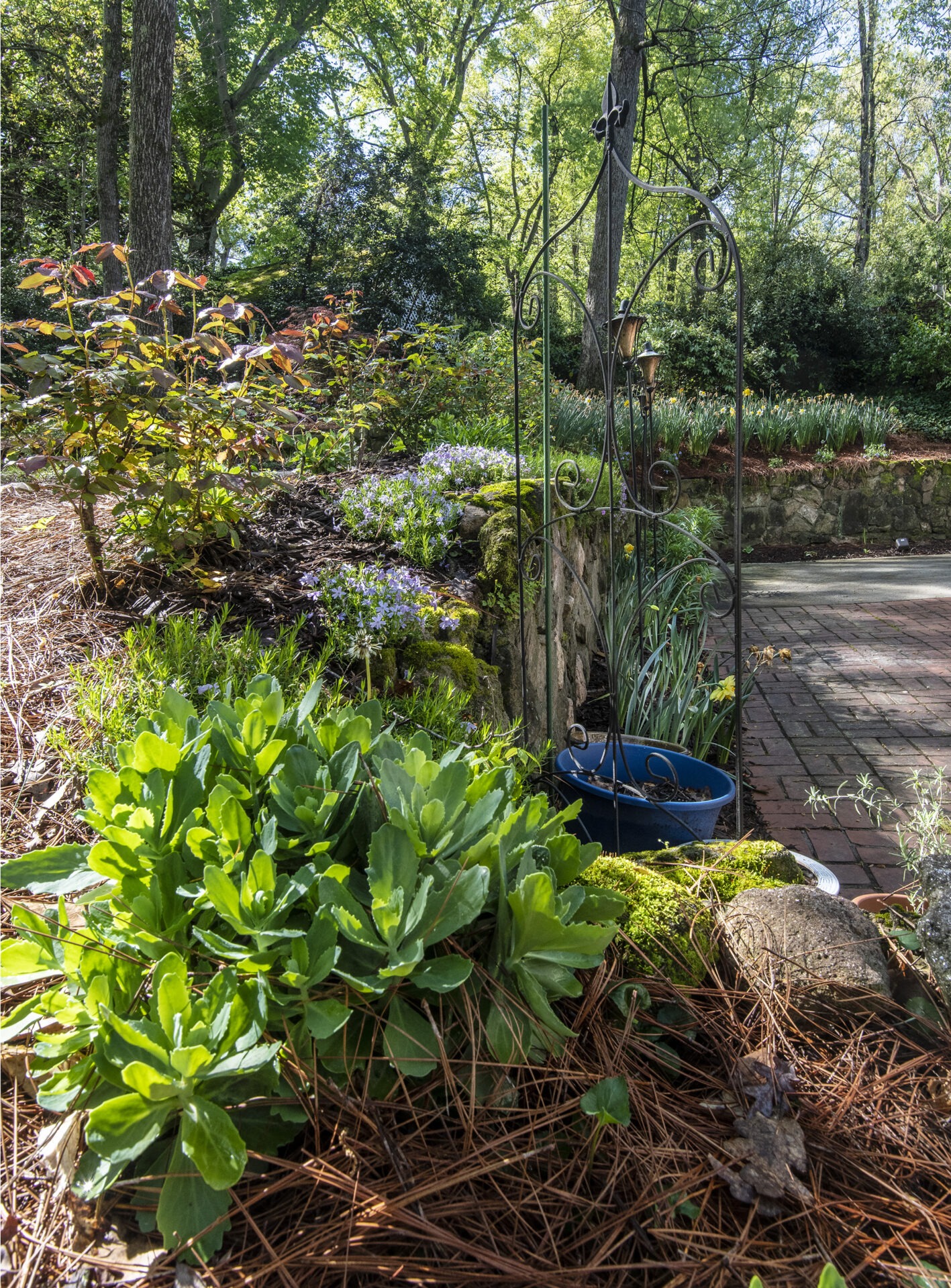Lush garden with vibrant green foliage, blooming flowers, and a decorative iron trellis. Stone pathway leads through the serene outdoor setting.