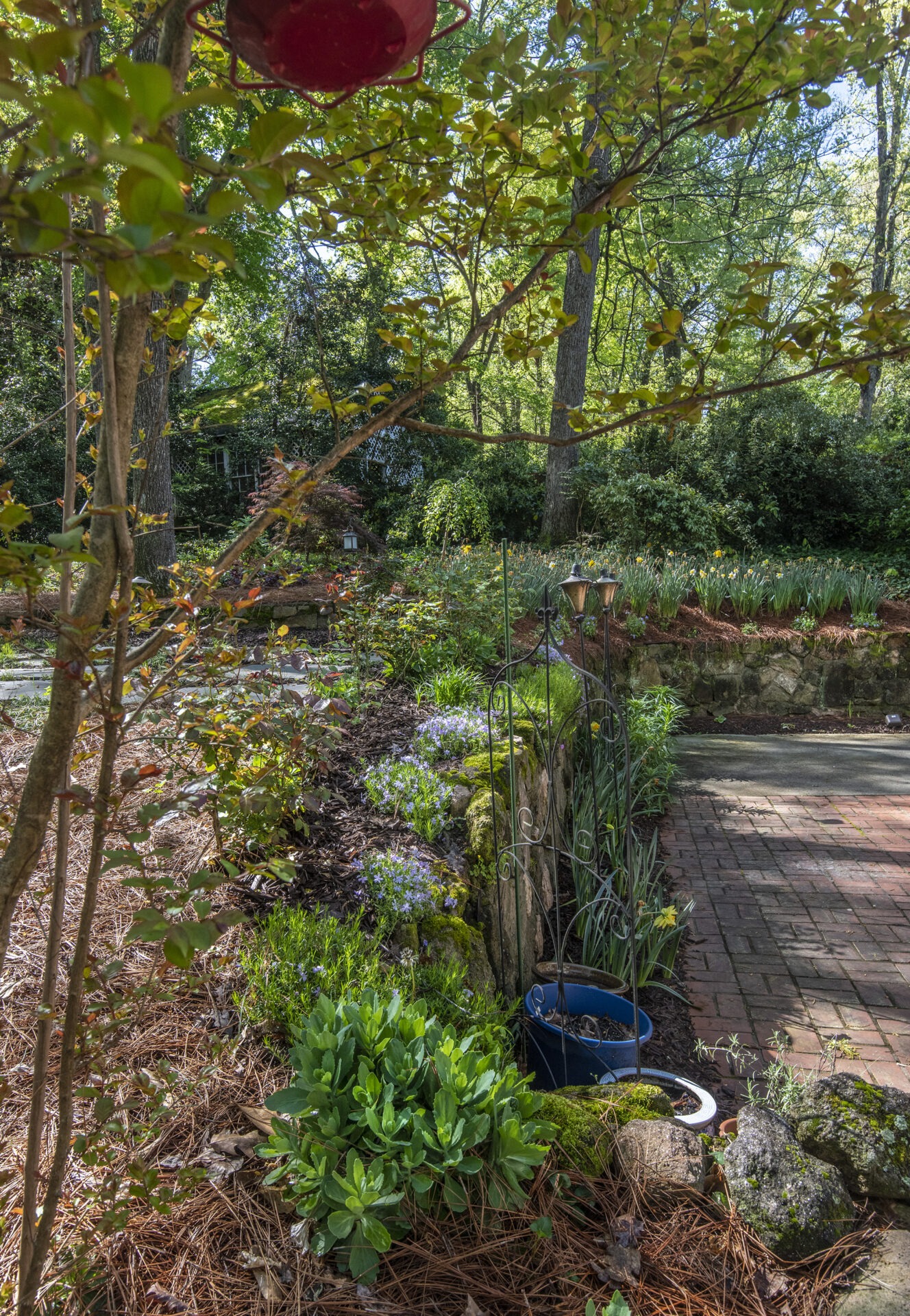 A lush garden with vibrant plants, stone pathway, and trees under a clear sky. No recognizable landmarks or historical buildings visible.