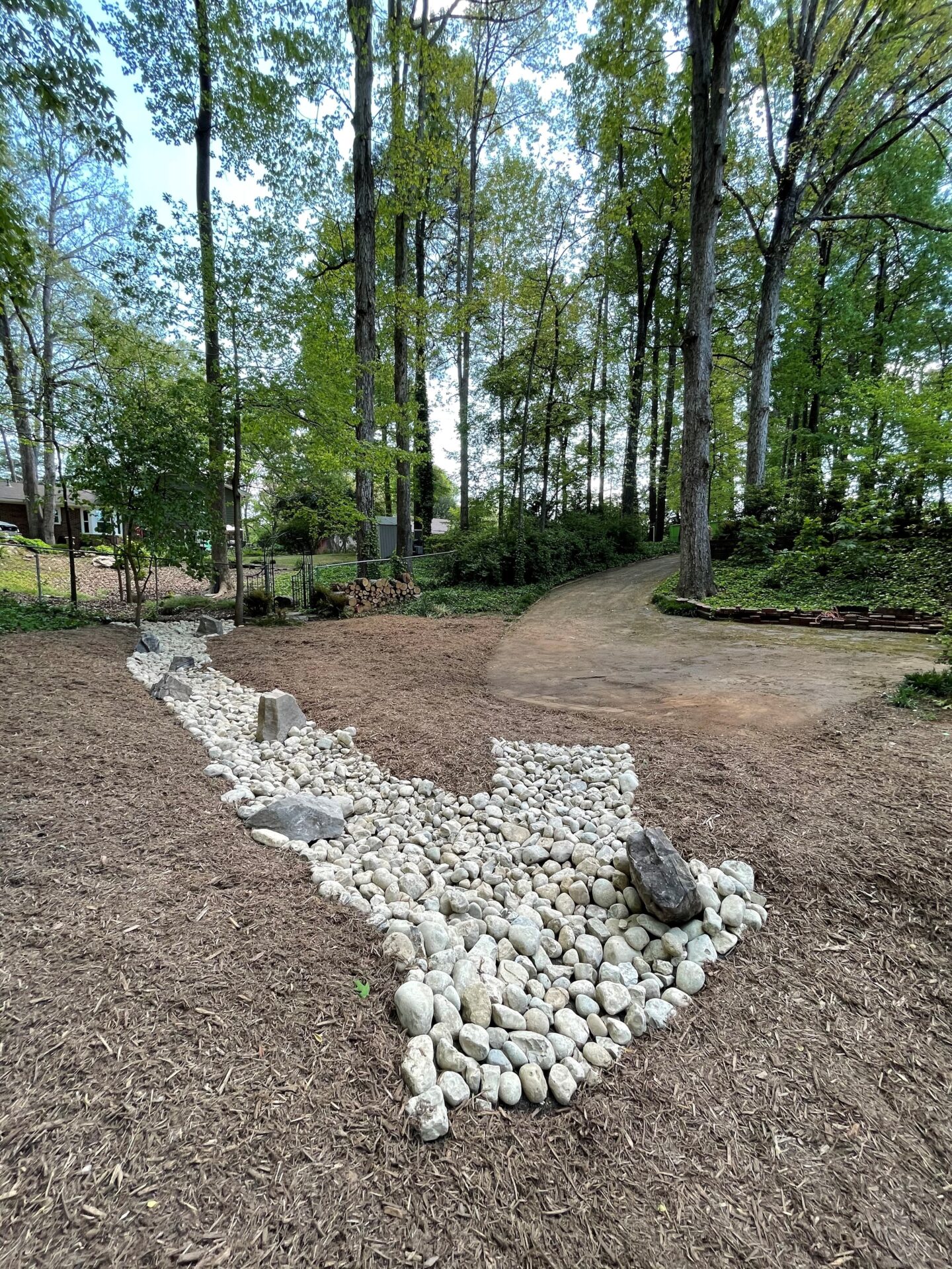 A winding path with white stones divides a wooded area of tall trees under a clear blue sky, creating a serene landscape.
