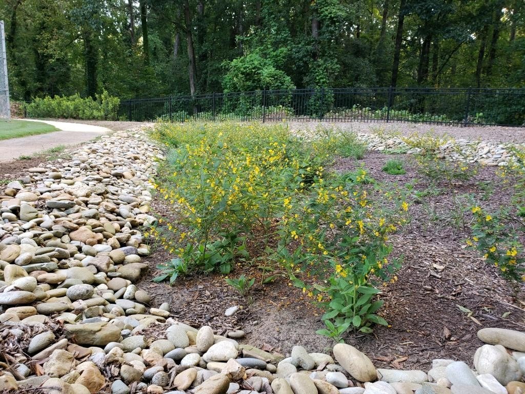 A garden with yellow flowers and a stone-bordered path, surrounded by lush green trees and a black metal fence in the background.