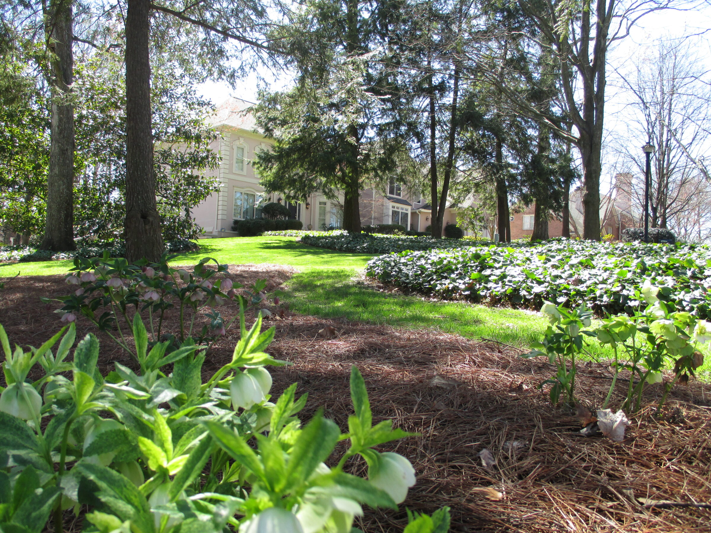 A sunlit garden features lush green plants and trees, with a large historic-style house partially visible in the background.
