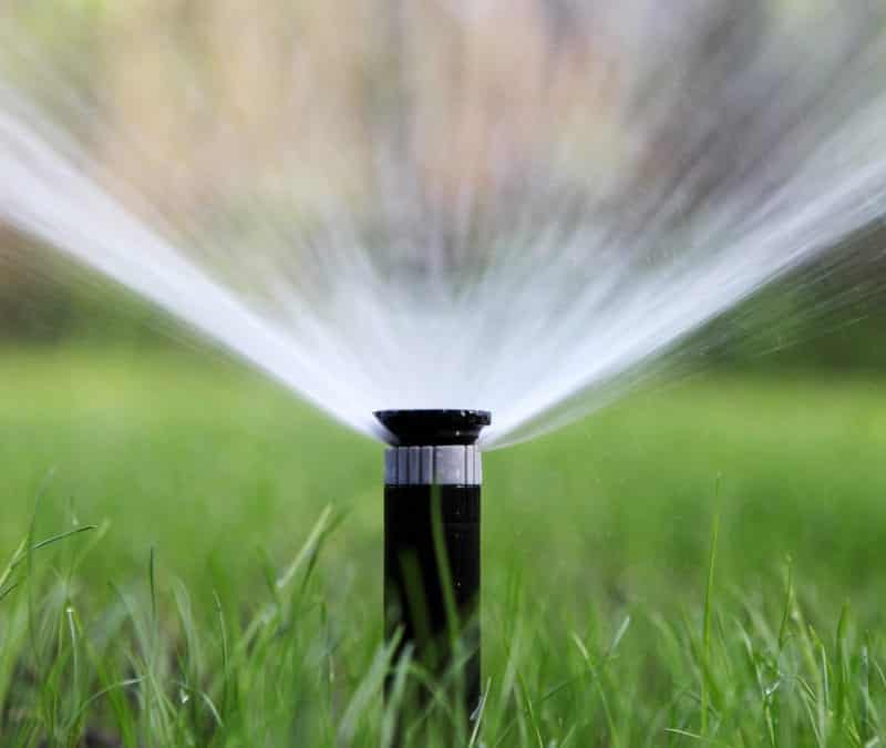 A close-up of a black lawn sprinkler, spraying water in a fan shape, surrounded by lush green grass on a sunny day.