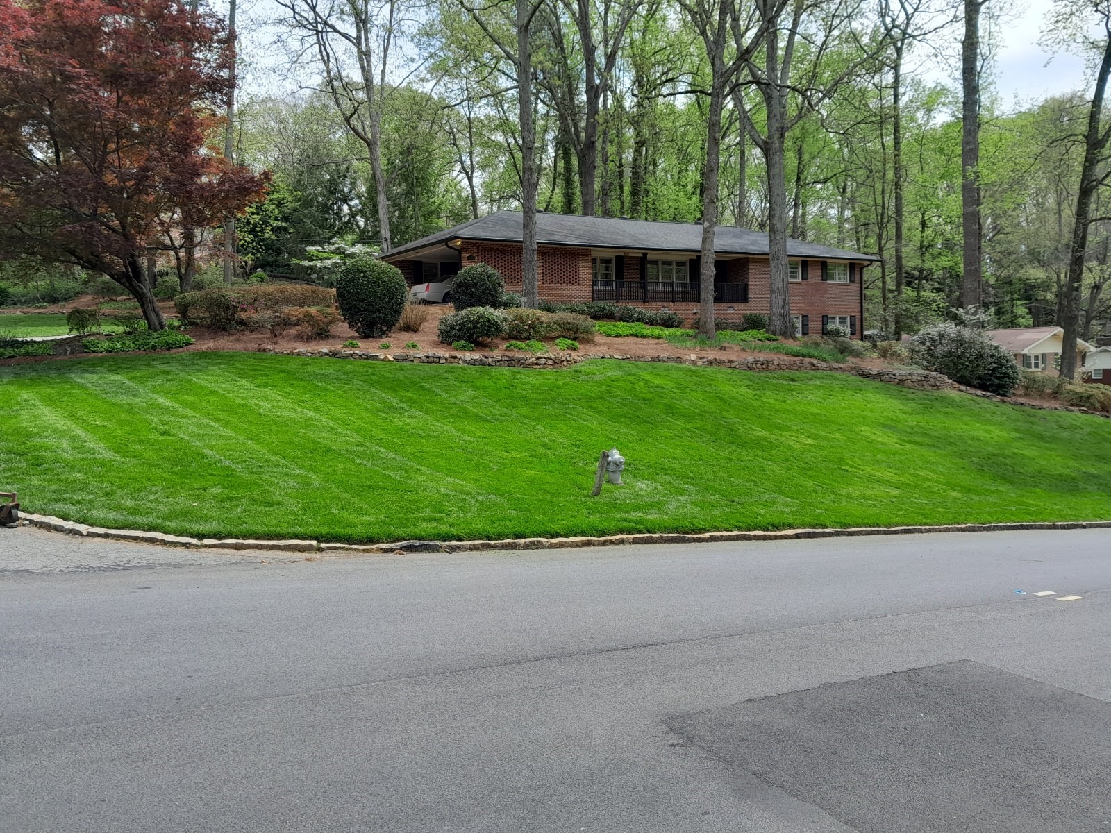 A brick house on a hill with vibrant green lawn and trees. A fire hydrant is visible, with a quiet residential setting.