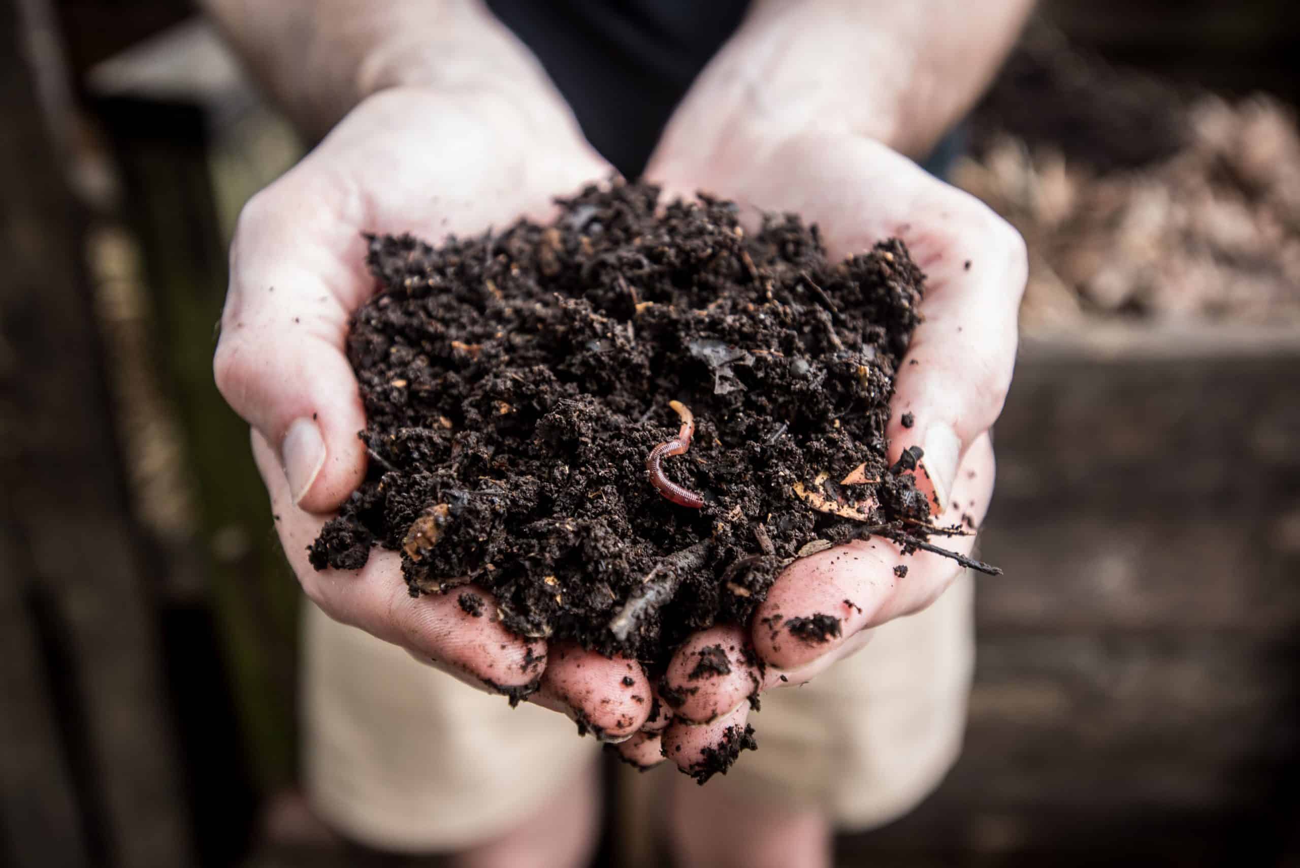 A person holds a handful of rich, dark compost with visible earthworms, highlighting a focus on gardening and sustainability.