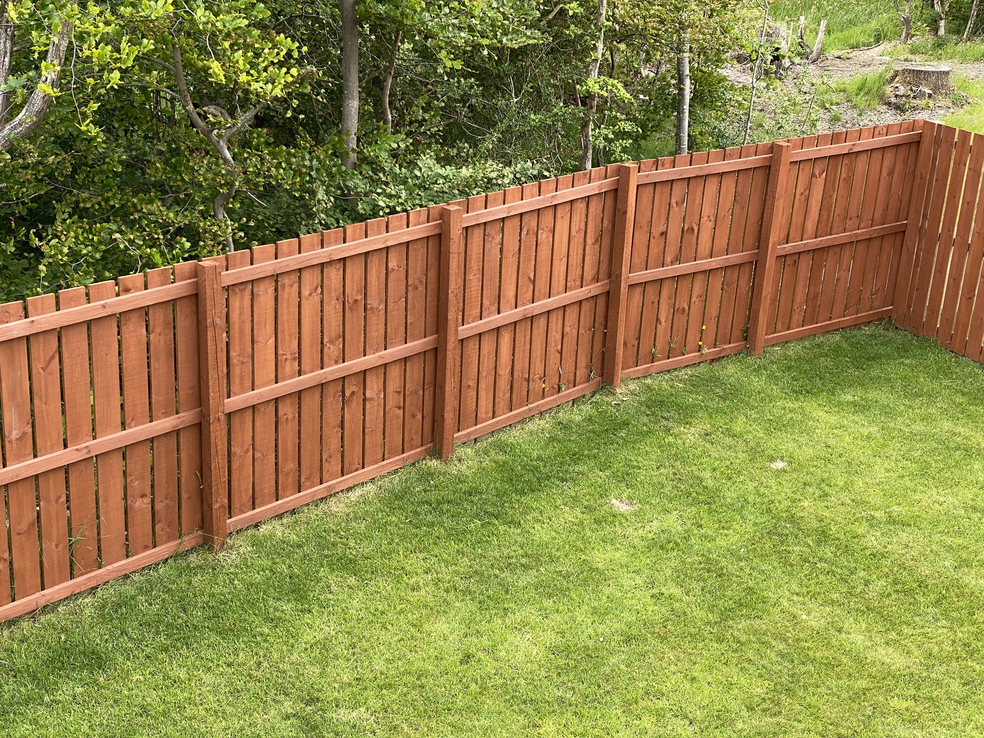 A wooden fence surrounds a neatly cut, green lawn. Dense trees with fresh leaves are visible beyond the fence.
