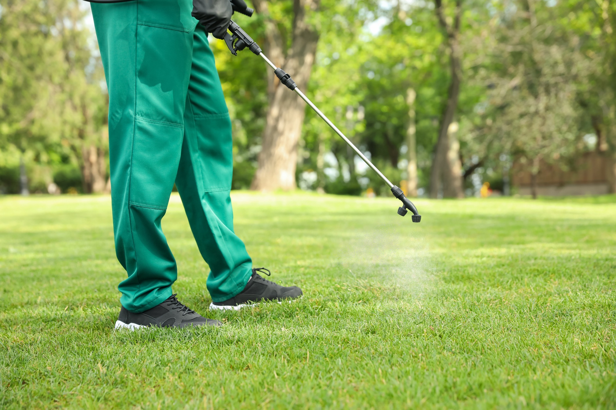 A person in green attire sprays chemicals on a grassy lawn in a park setting. Trees and foliage create a natural backdrop.