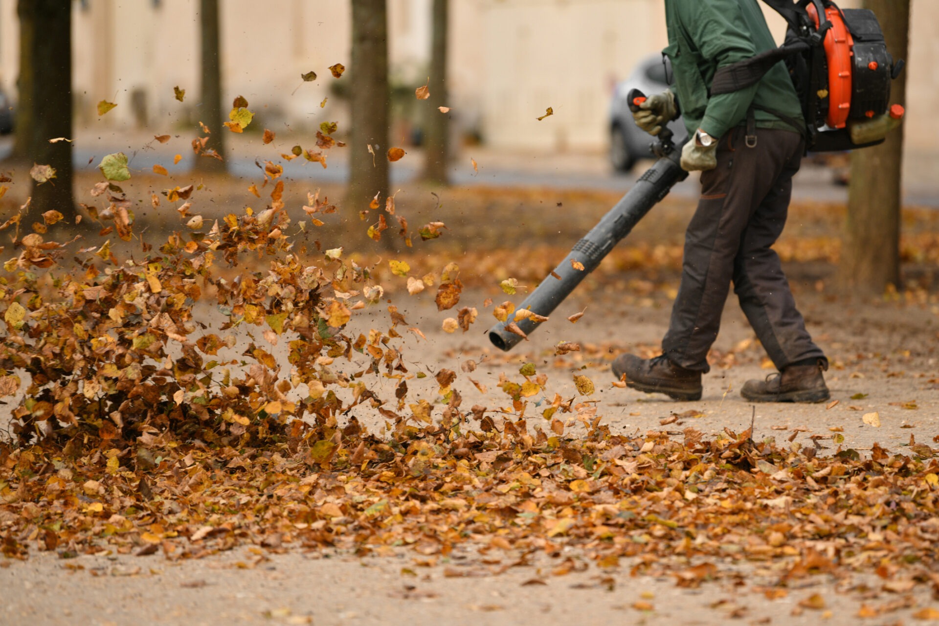 A person uses a leaf blower to clear autumn leaves from the ground in a tree-lined area during fall.