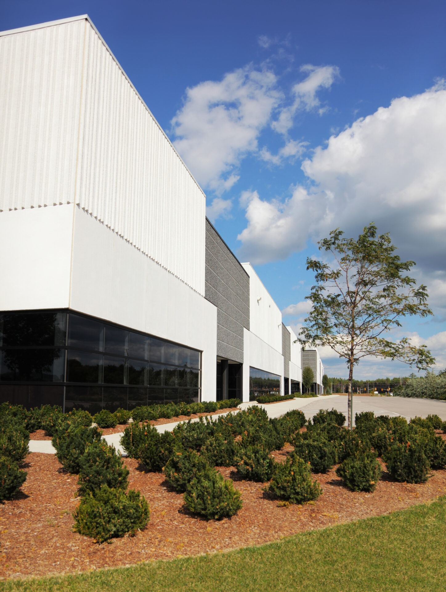 Modern industrial building with large windows and landscaped greenery. Clear blue sky with scattered clouds, and a lone tree adds natural contrast.