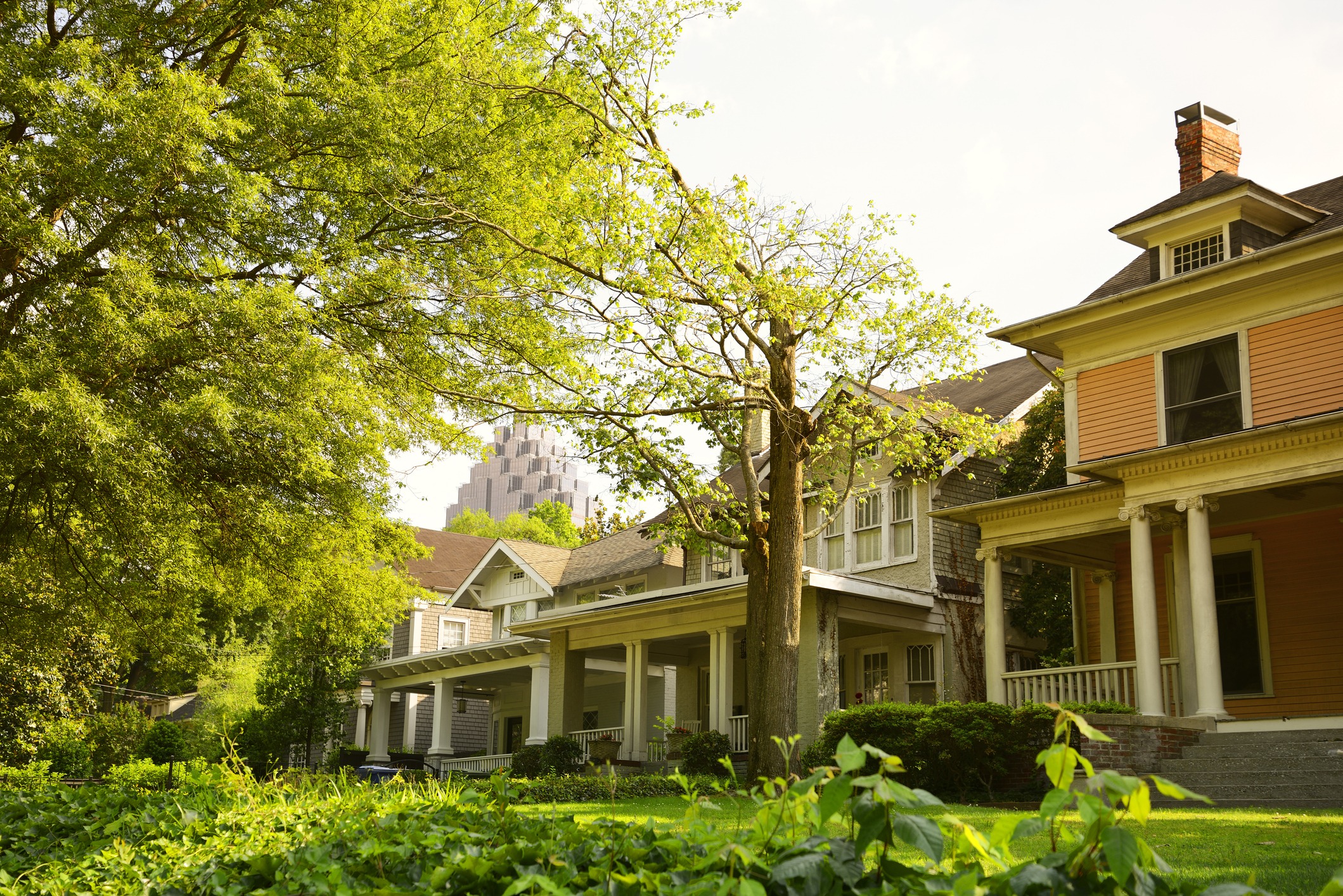 Leafy neighborhood with historic houses and lush gardens; tall modern building in background. Person stands on porch, enjoying peaceful, sunny day.