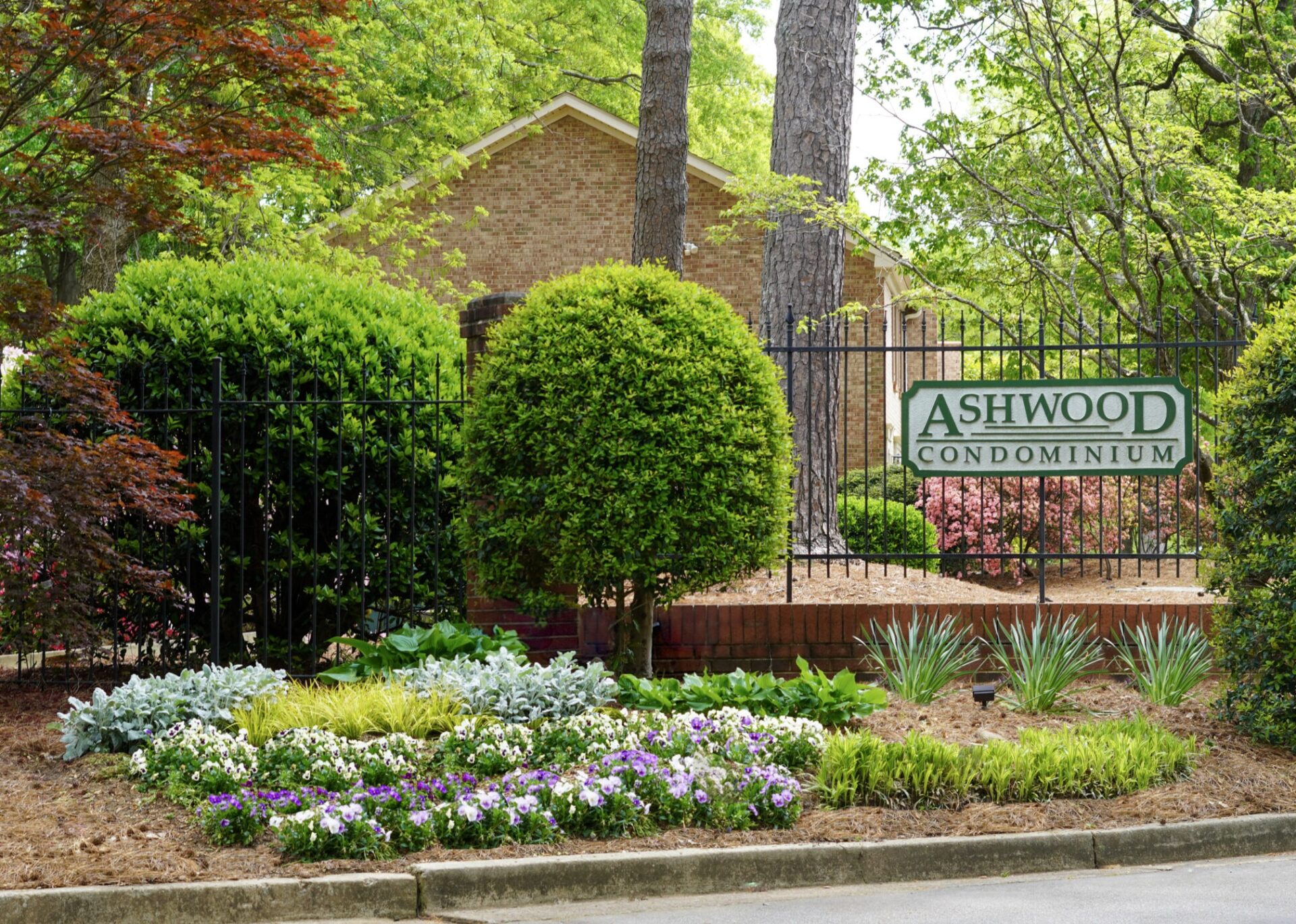 Cool toned blooms in front of red Japanese Maple and neighborhood sign.