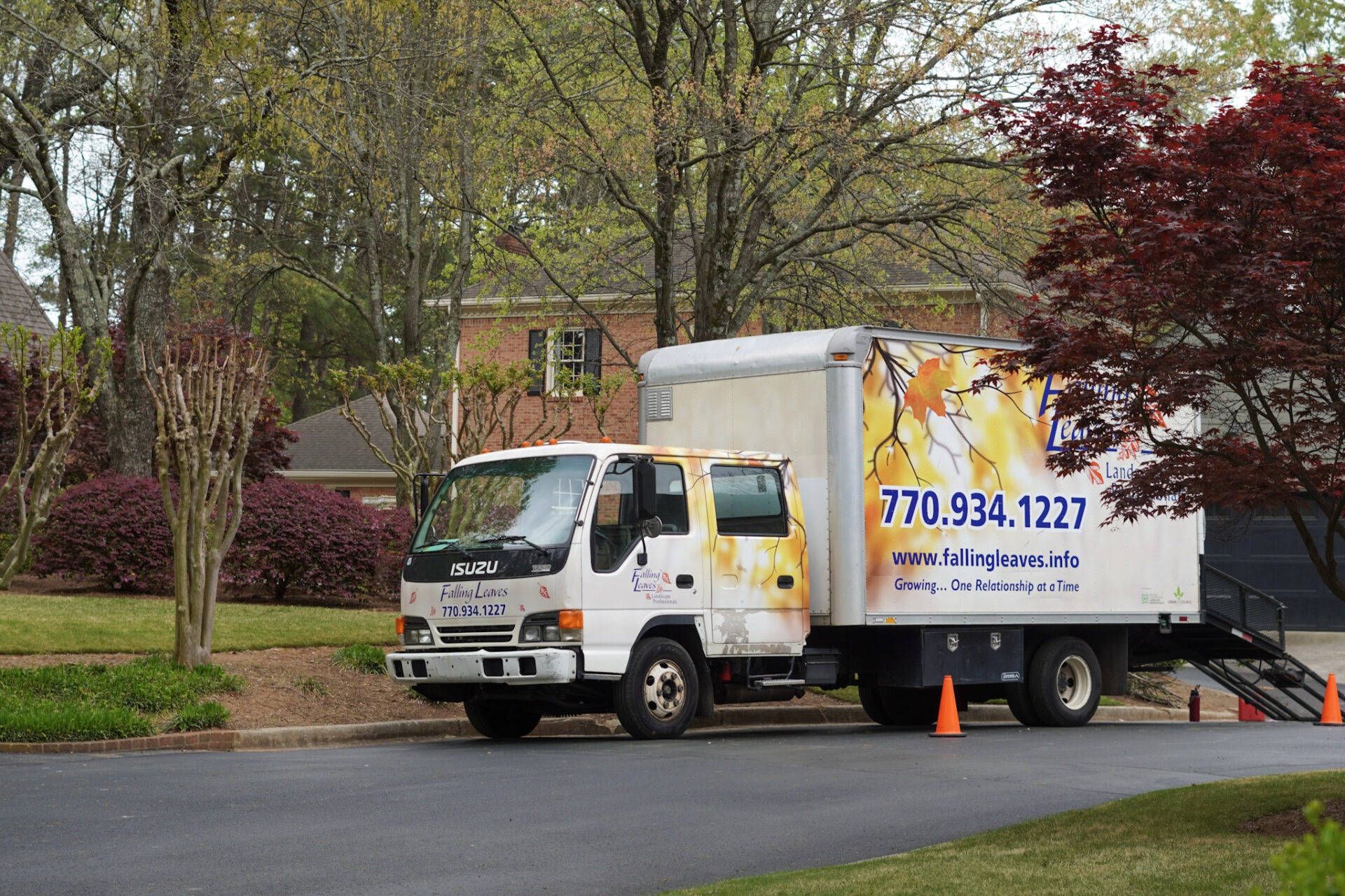 Landscape company truck in front of blooming Japanese Maple tree, green grass, and dark red Azaleas