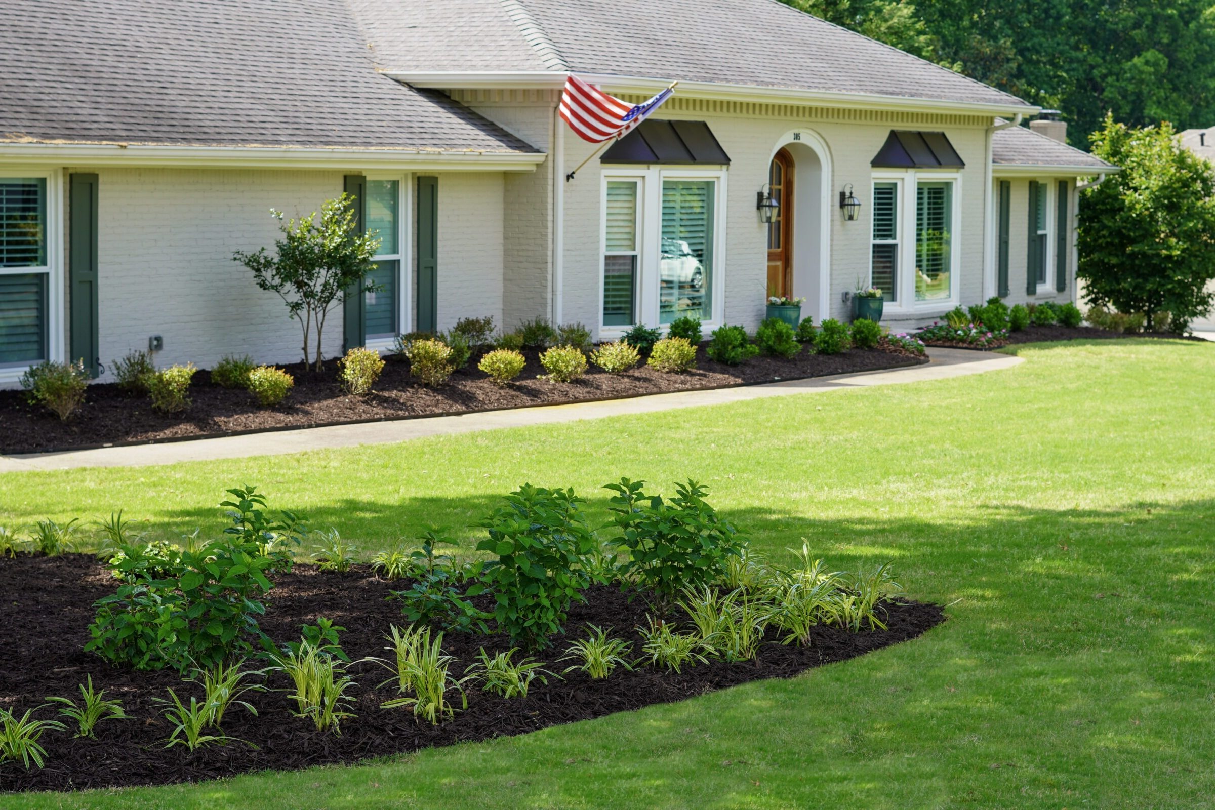 A brick house with a landscaped yard features young plants and a small tree, surrounded by lush greenery.