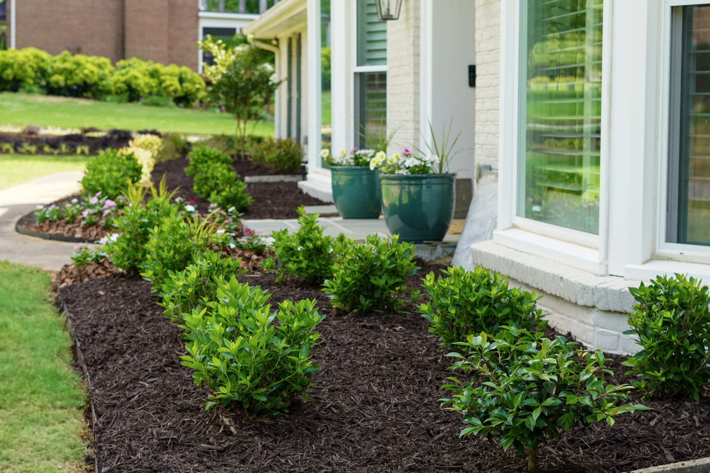 Bright green shrubs and flower beds in front of a white brick house.