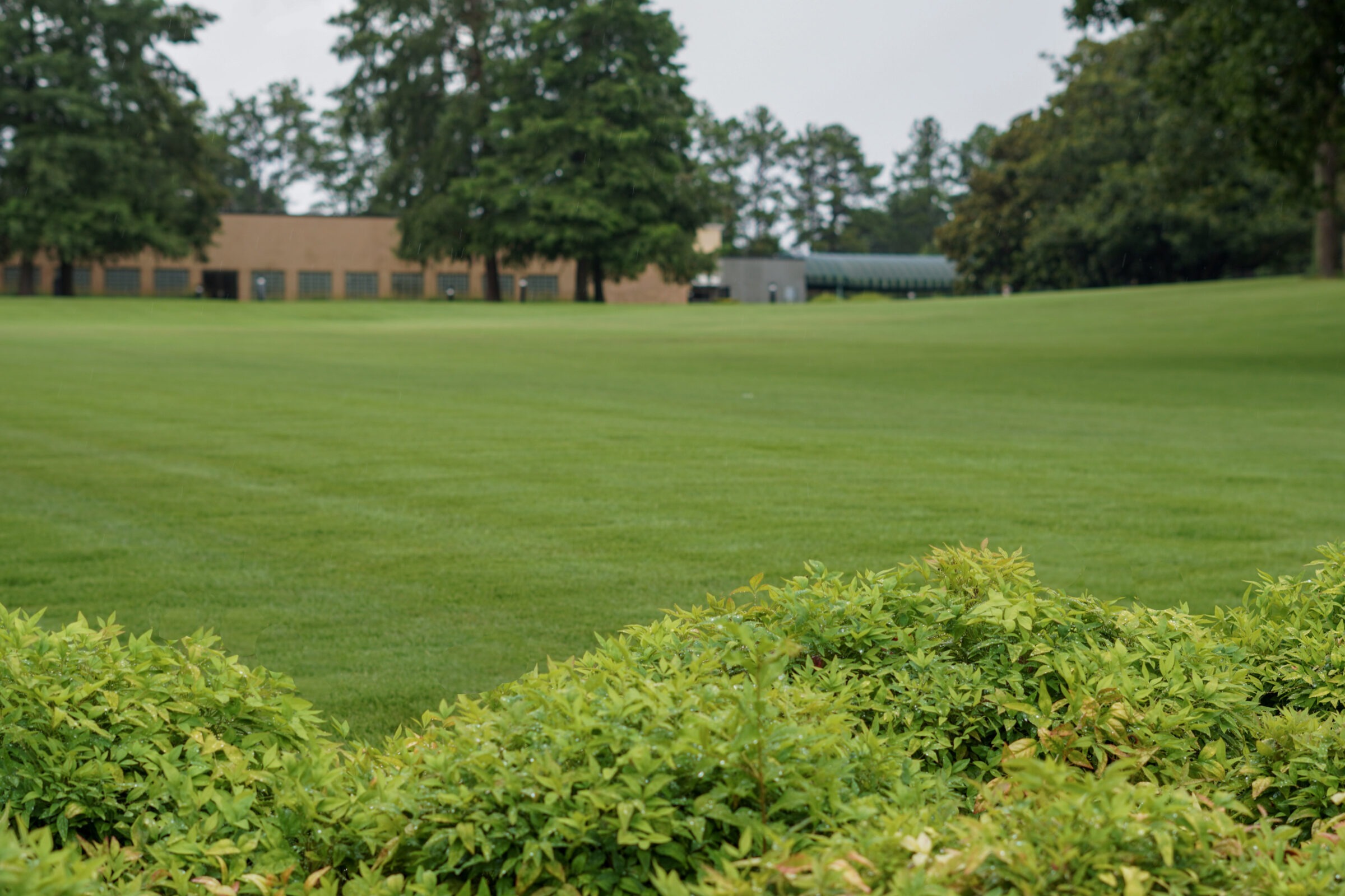 Perfect grass on an upward slope towards a brown brick building