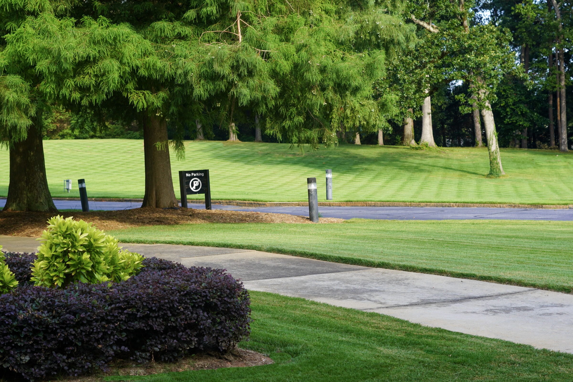Sidewalk through a well maintained business parking lot with green grass
