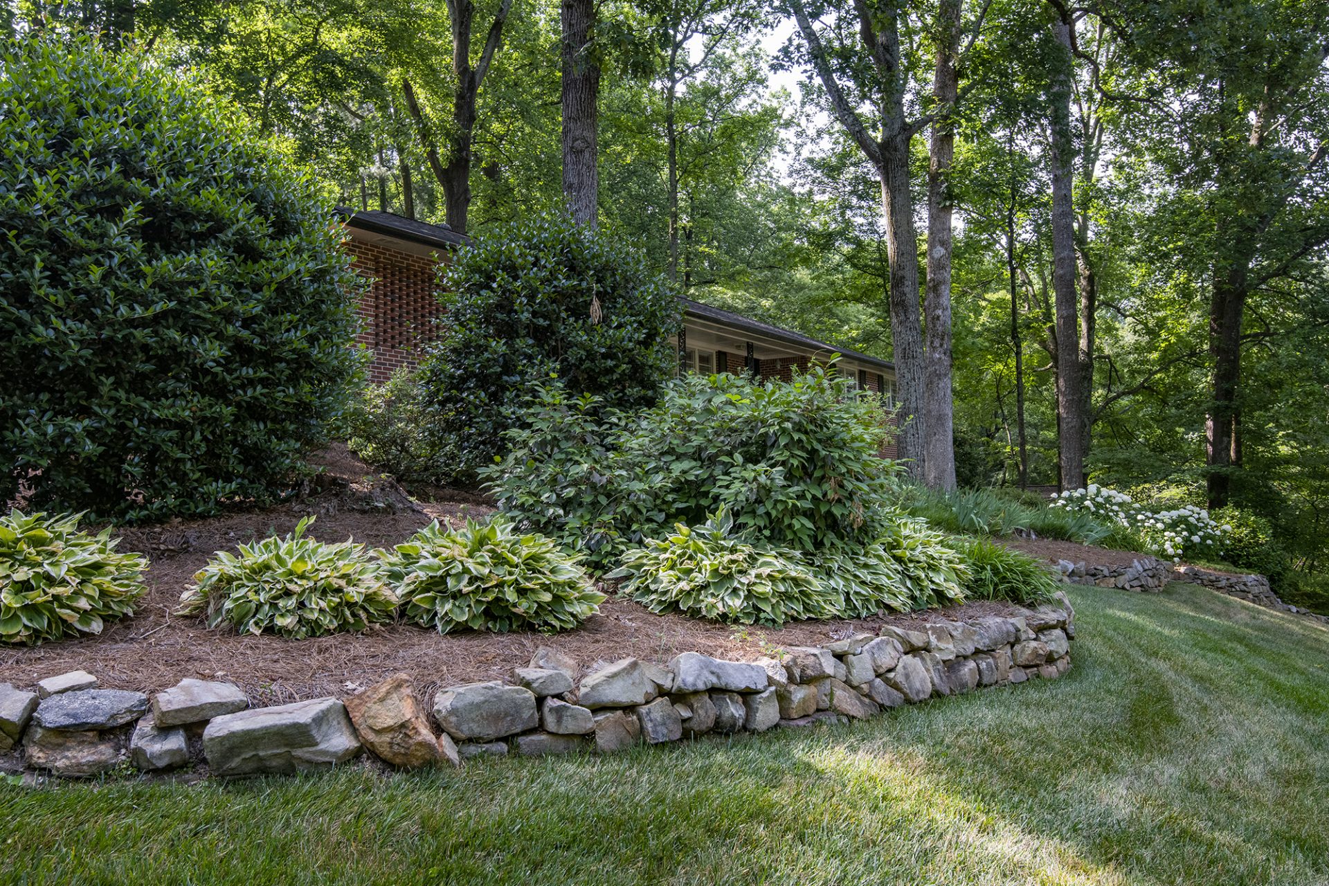 A sloped, wooded backyard with retaining walls, a lush lawn, and well-pruned shrubs and trees.
